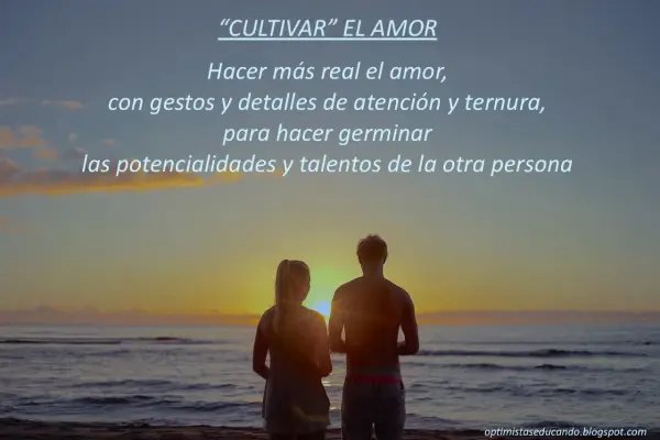 Pareja contemplando el atardecer, cultivando sentimientos de amor con gestos y ternura.